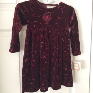 NWT Embroidered Velour Dress